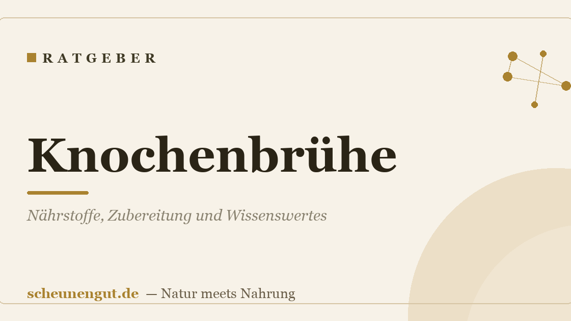 Knochenbrühe: Nährstoffe, Zubereitung und Wissenswertes
