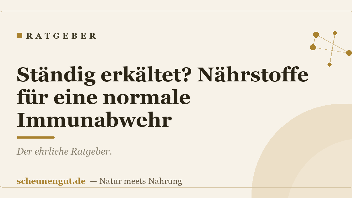 Ständig erkältet? Nährstoffe für eine normale Immunabwehr