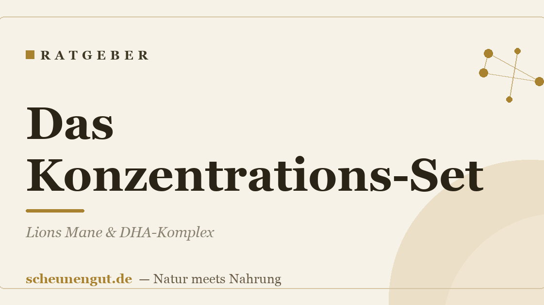 Das Konzentrations-Set: Lions Mane & DHA-Komplex
