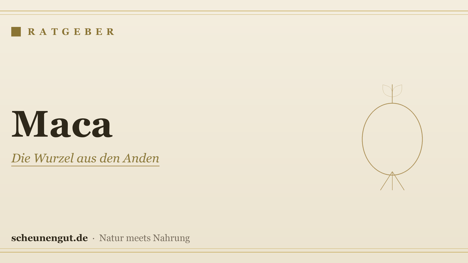 Maca – Ratgeber von Scheunengut