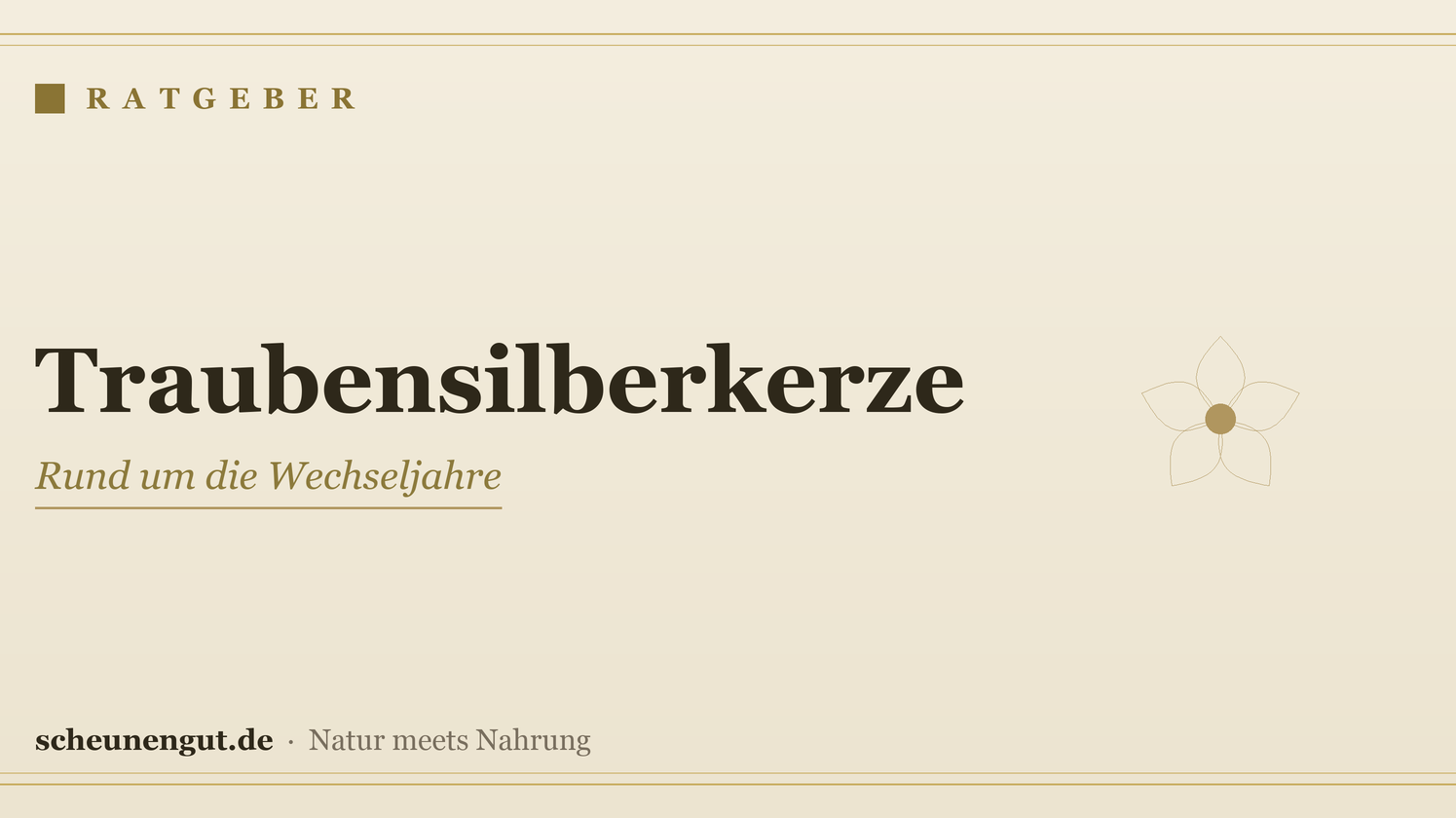 Traubensilberkerze in den Wechseljahren – Ratgeber von Scheunengut