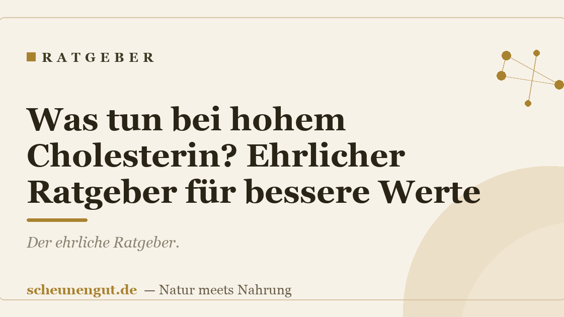 Was tun bei hohem Cholesterin? Ehrlicher Ratgeber für bessere Werte