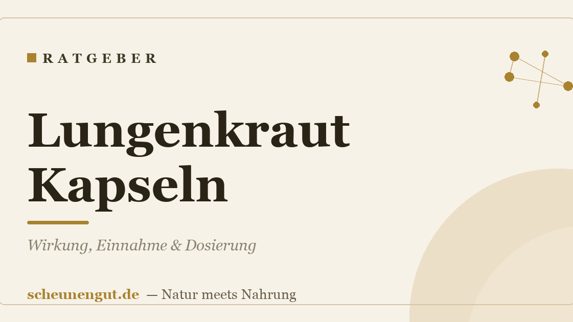 Lungenkraut Kapseln: Wirkung, Einnahme & Dosierung