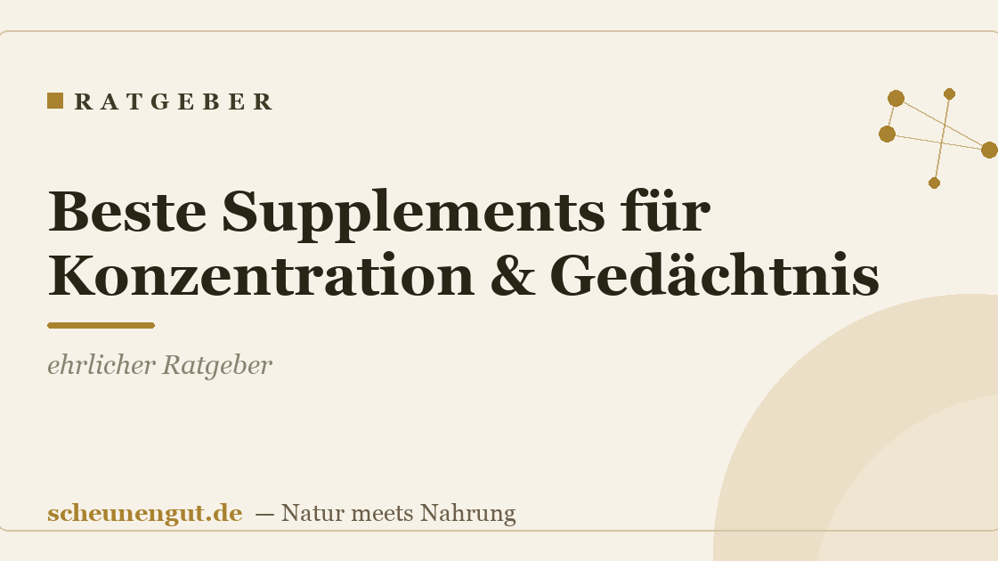 Beste Supplements für Konzentration & Gedächtnis: ehrlicher Ratgeber