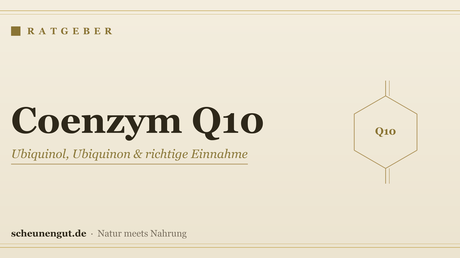 Coenzym Q10 – Ratgeber von Scheunengut