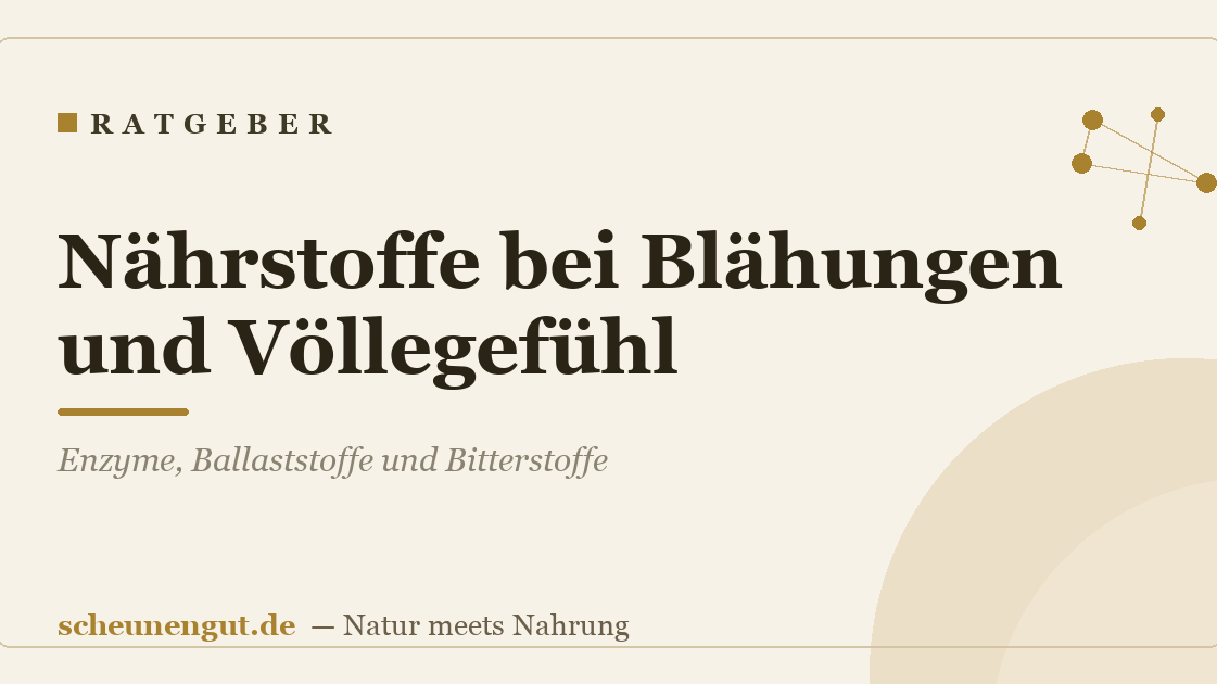 Nährstoffe bei Blähungen und Völlegefühl: Enzyme, Ballaststoffe und Bitterstoffe