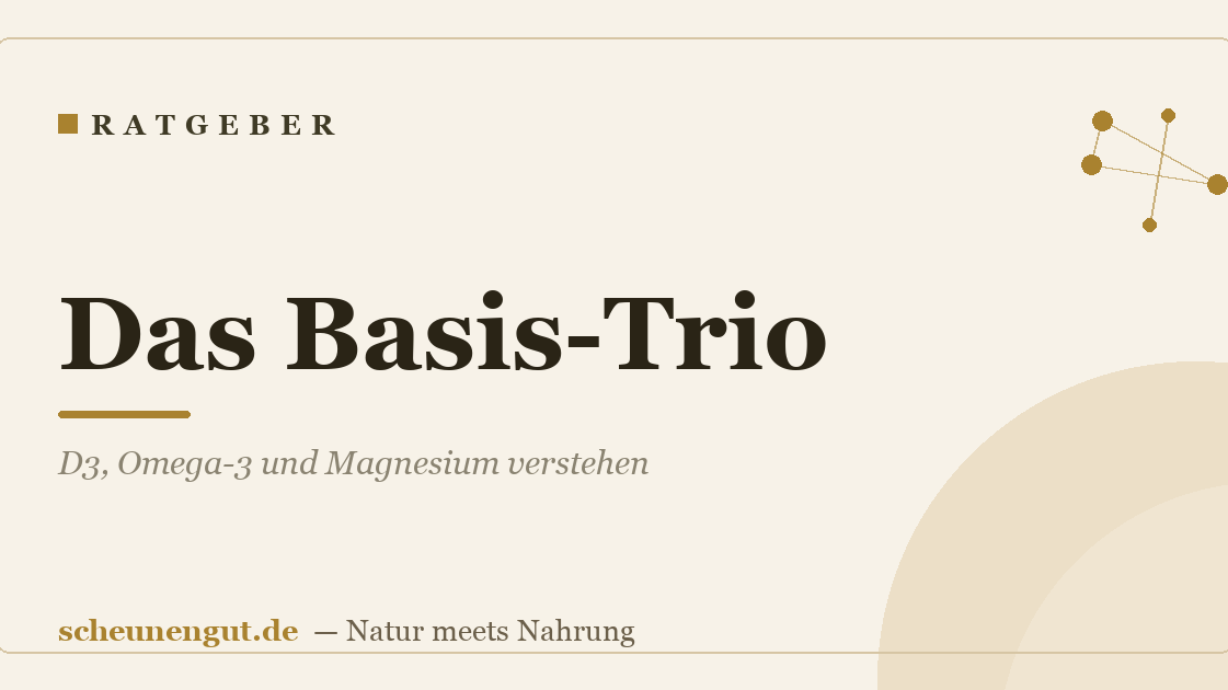 Das Basis-Trio: D3, Omega-3 und Magnesium verstehen