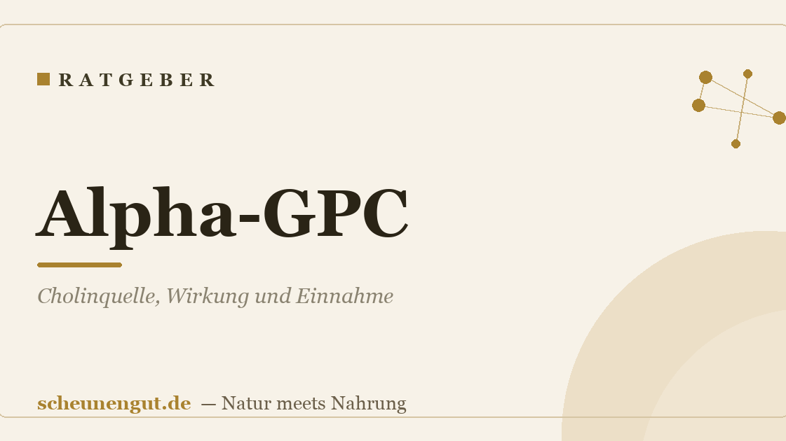 Alpha-GPC: Cholinquelle, Wirkung und Einnahme