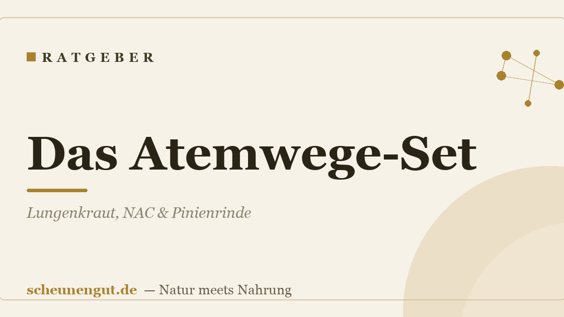 Das Atemwege-Set: Lungenkraut, NAC & Pinienrinde