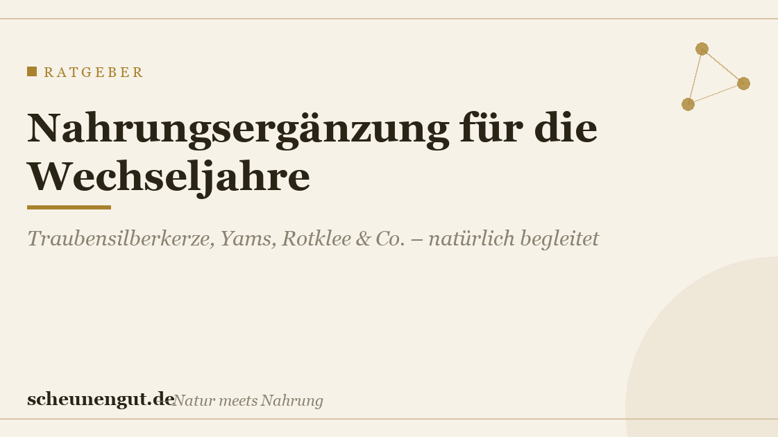 Beste Nahrungsergänzung für die Wechseljahre