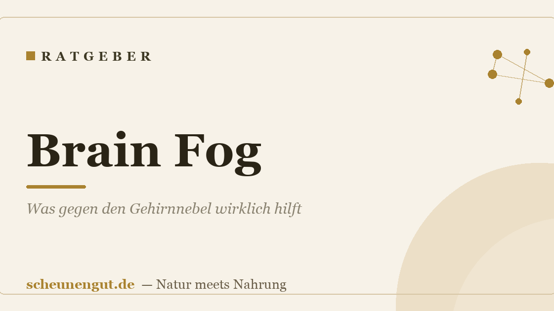 Brain Fog: Was gegen den Gehirnnebel wirklich hilft