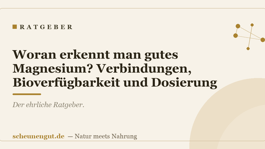 Woran erkennt man gutes Magnesium? Verbindungen, Bioverfügbarkeit und Dosierung