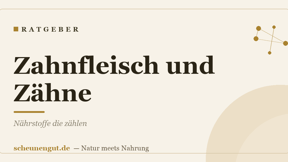 Zahnfleisch und Zähne: Nährstoffe die zählen