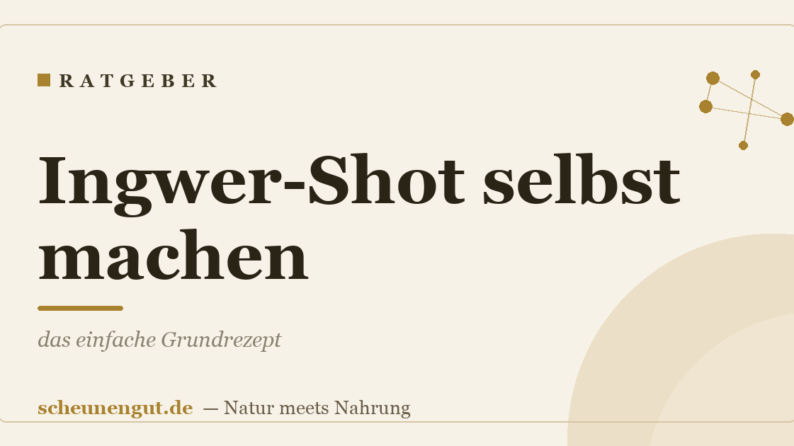 Ingwer-Shot selbst machen: das einfache Grundrezept