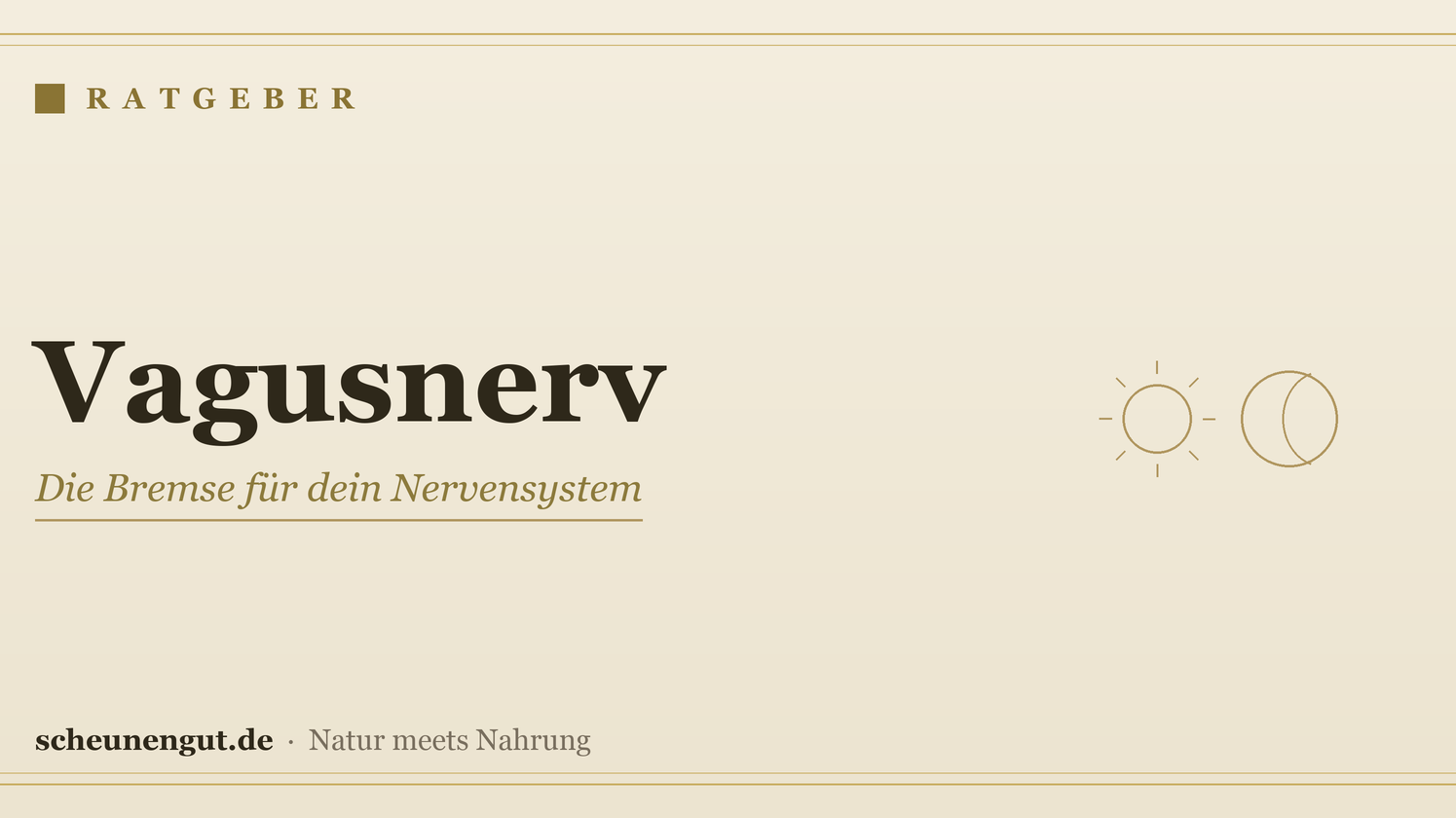 Vagusnerv: Die Bremse für dein Nervensystem