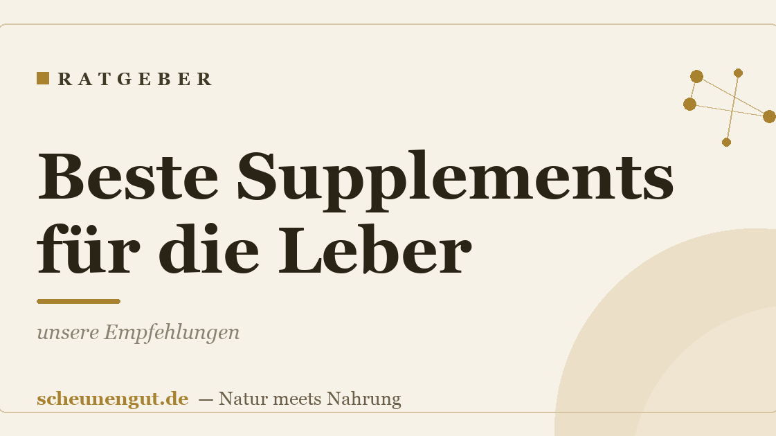 Beste Supplements für die Leber: unsere Empfehlungen