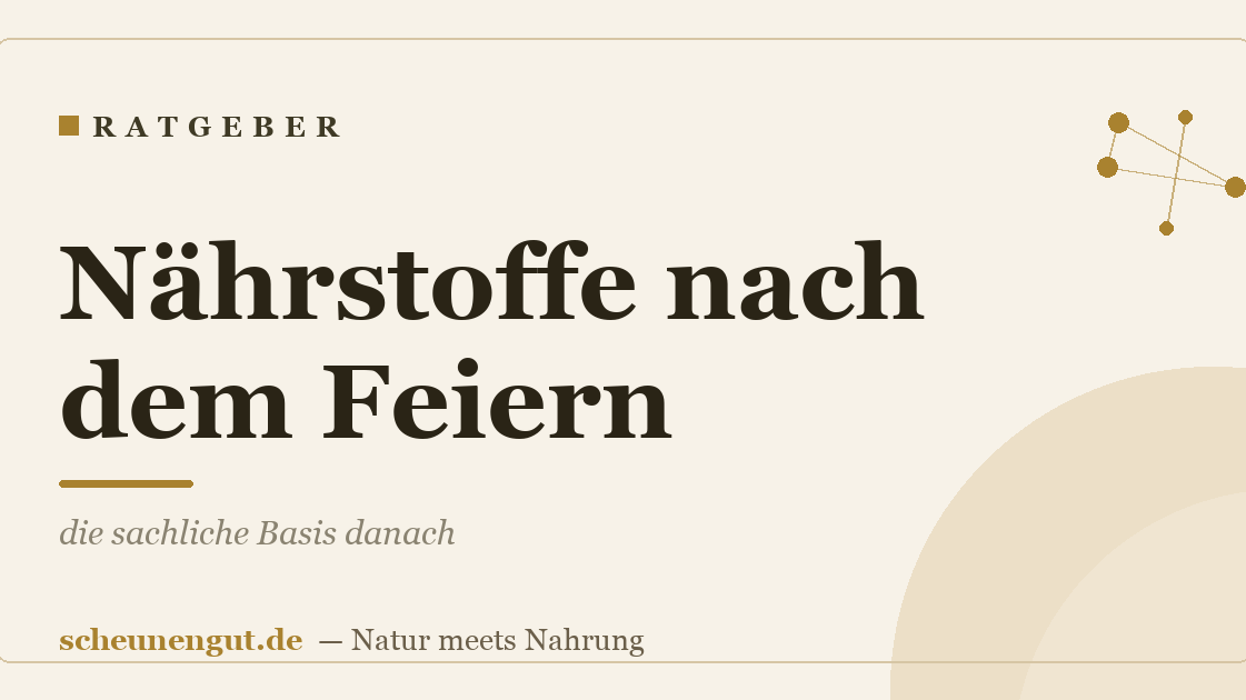 Nährstoffe nach dem Feiern: die sachliche Basis danach