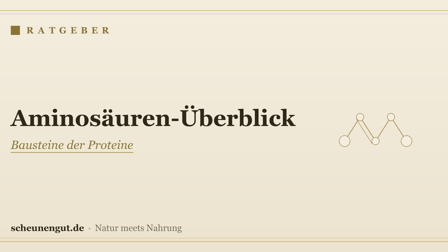 Aminosäuren: der große Überblick – Ratgeber von Scheunengut