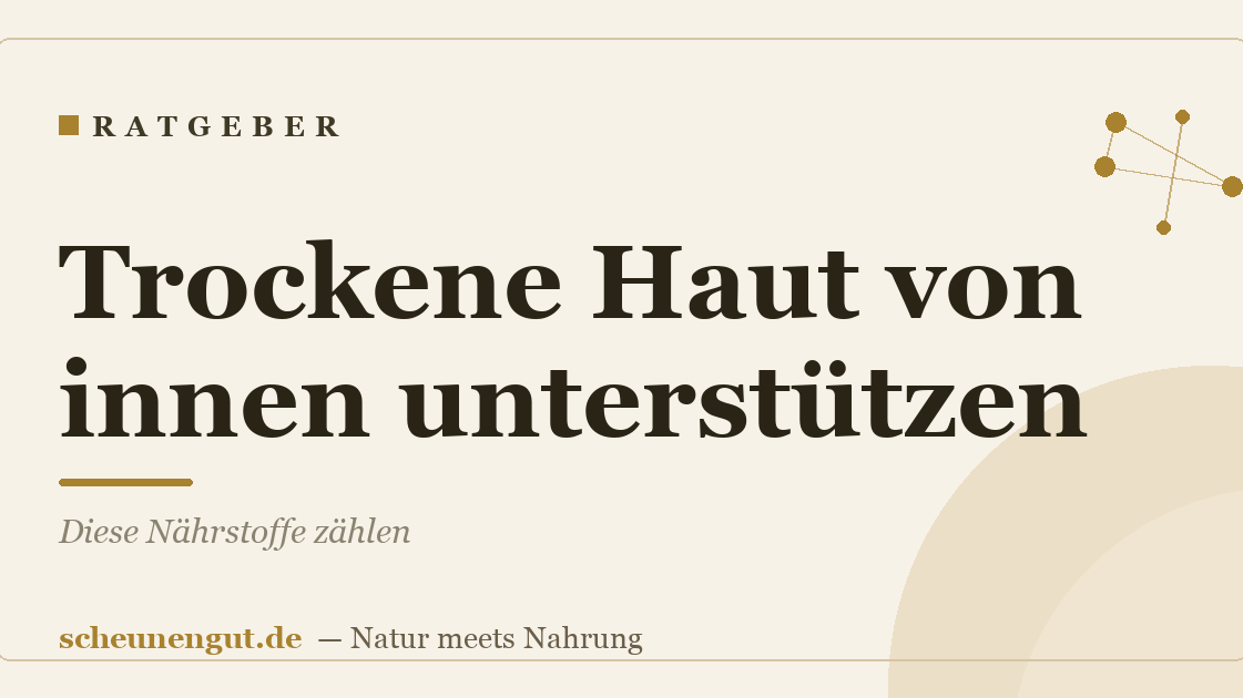 Trockene Haut von innen unterstützen: Diese Nährstoffe zählen