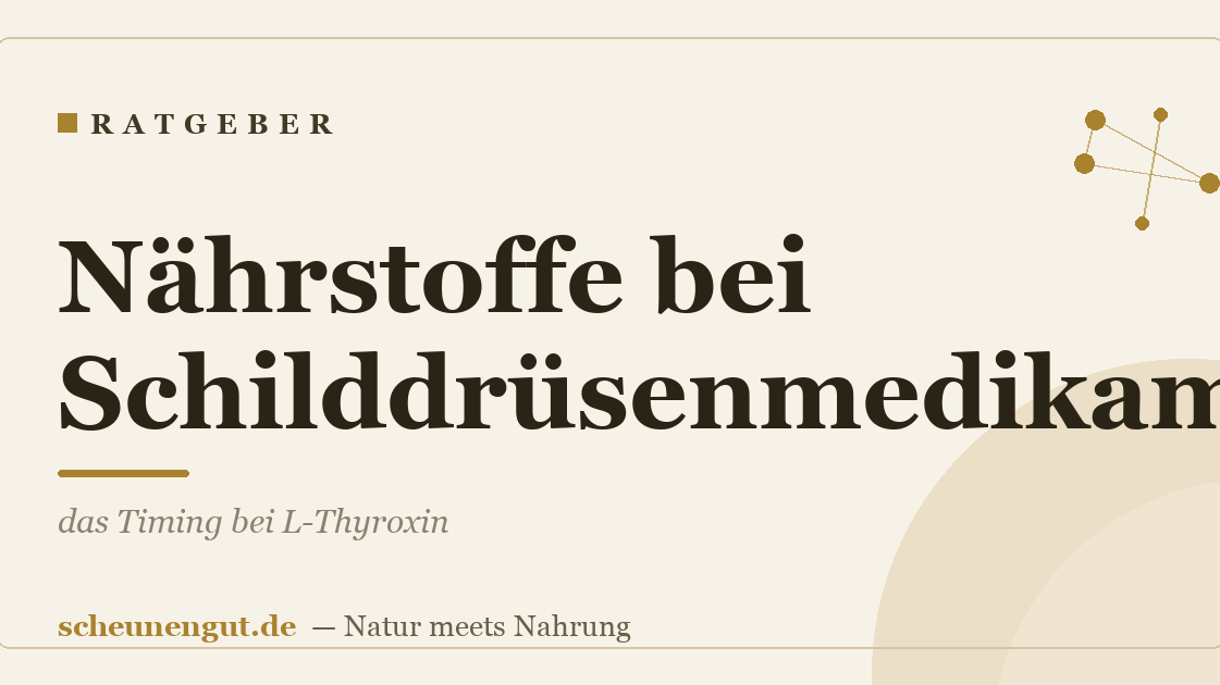 Nährstoffe bei Schilddrüsenmedikamenten: das Timing bei L-Thyroxin