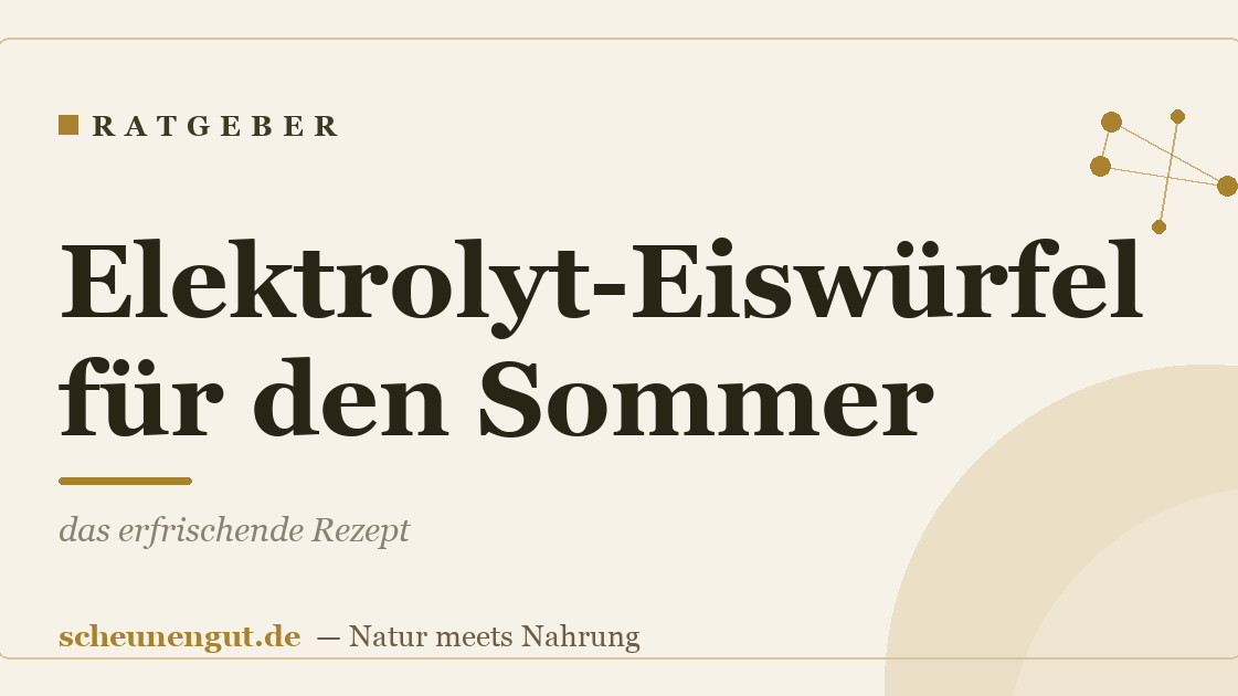 Elektrolyt-Eiswürfel für den Sommer: das erfrischende Rezept