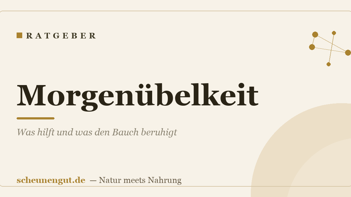 Morgenübelkeit: Was hilft und was den Bauch beruhigt