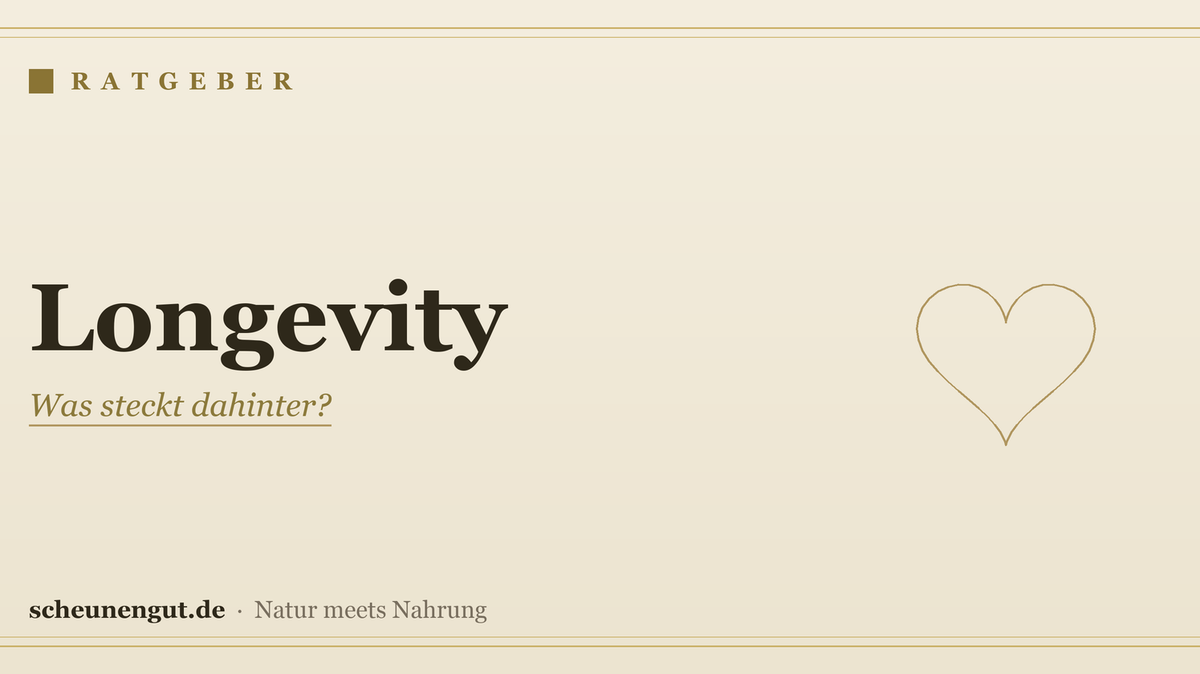 Longevity: Was steckt hinter dem Trend? – Ratgeber von Scheunengut