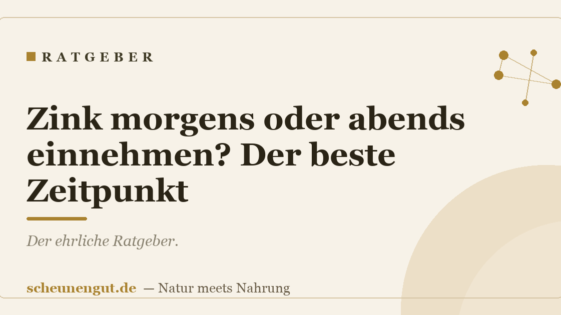 Zink morgens oder abends einnehmen? Der beste Zeitpunkt