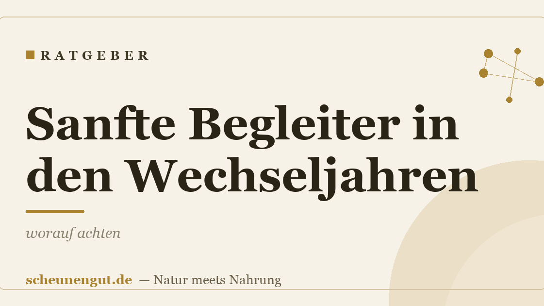 Sanfte Begleiter in den Wechseljahren: worauf achten