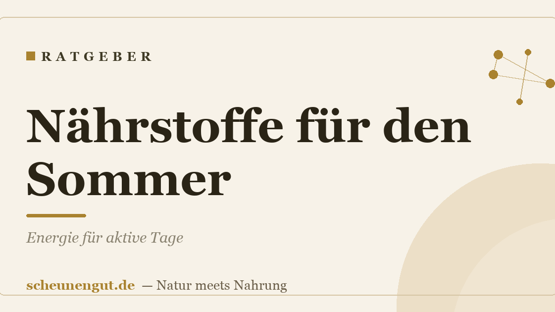 Nährstoffe für den Sommer: Energie für aktive Tage