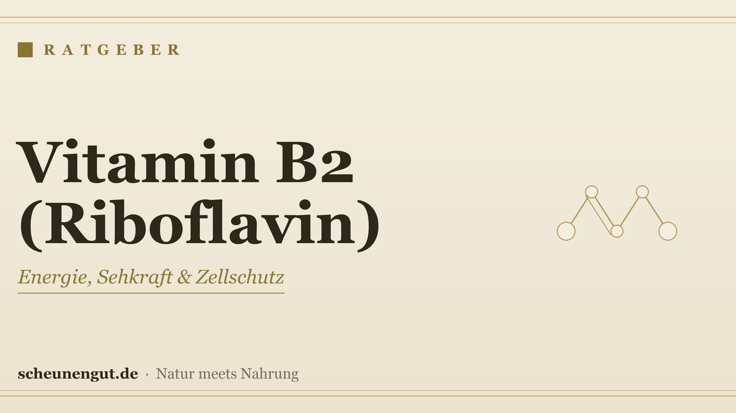 Vitamin B2 (Riboflavin): Wirkung & Bedarf – Ratgeber von Scheunengut