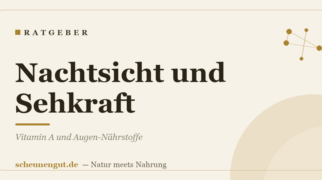 Nachtsicht und Sehkraft: Vitamin A und Augen-Nährstoffe
