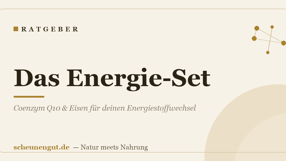 Das Energie-Set: Coenzym Q10 & Eisen für deinen Energiestoffwechsel