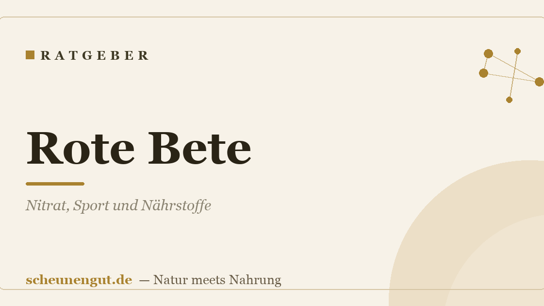 Rote Bete: Nitrat, Sport und Nährstoffe