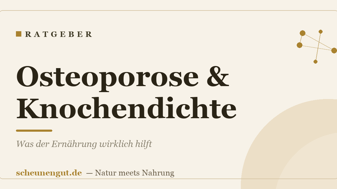 Osteoporose & Knochendichte: Was der Ernährung wirklich hilft