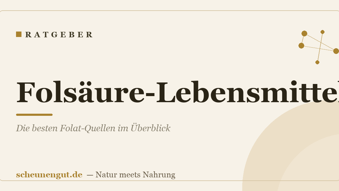 Folsäure-Lebensmittel: Die besten Folat-Quellen im Überblick