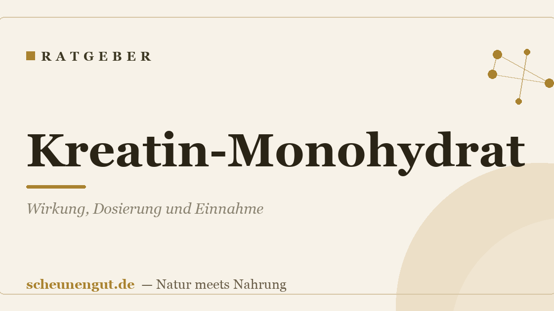 Kreatin-Monohydrat: Wirkung, Dosierung und Einnahme