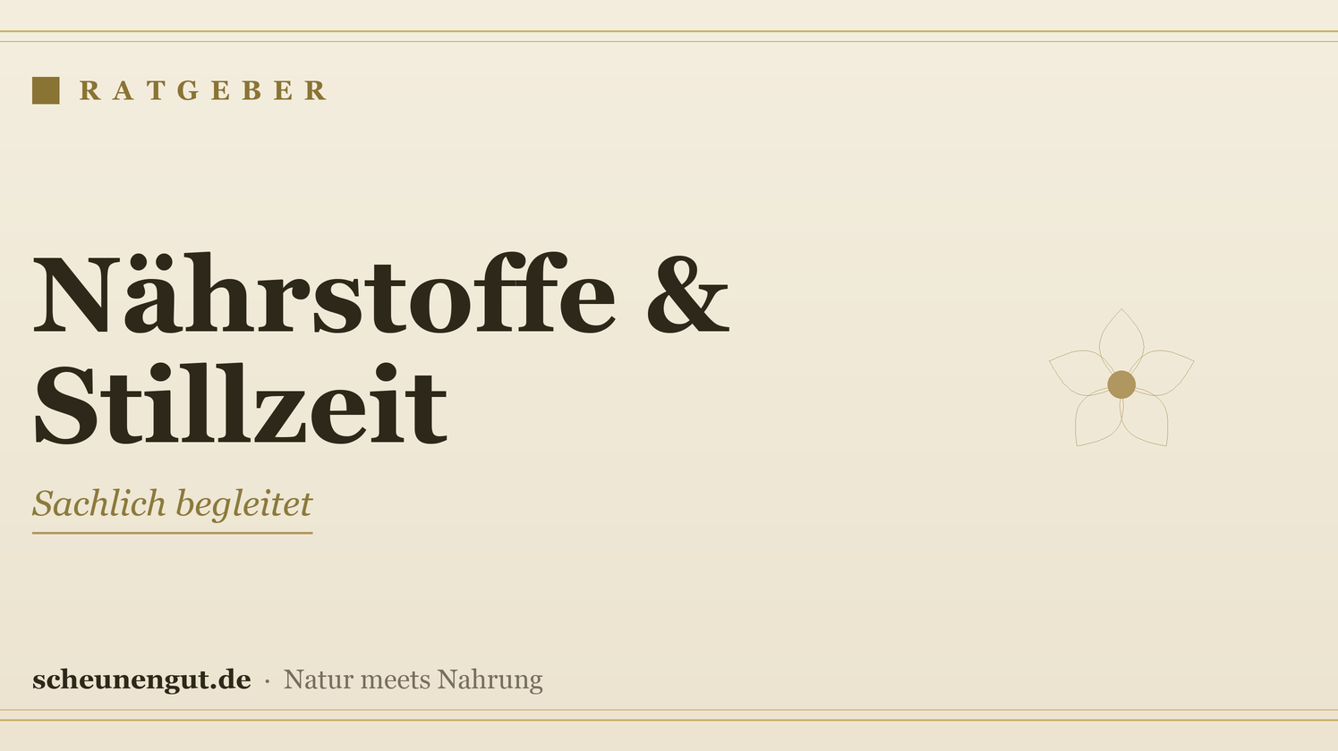 Nährstoffe in der Stillzeit – Ratgeber von Scheunengut