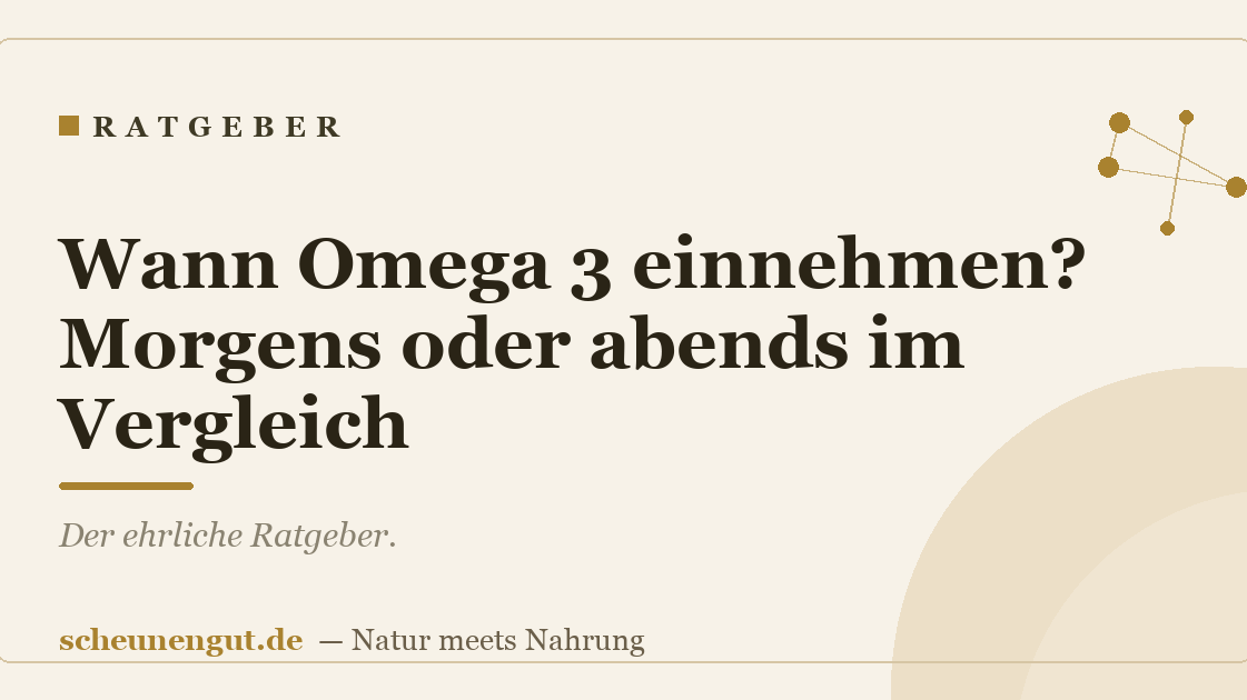 Wann Omega 3 einnehmen? Morgens oder abends im Vergleich