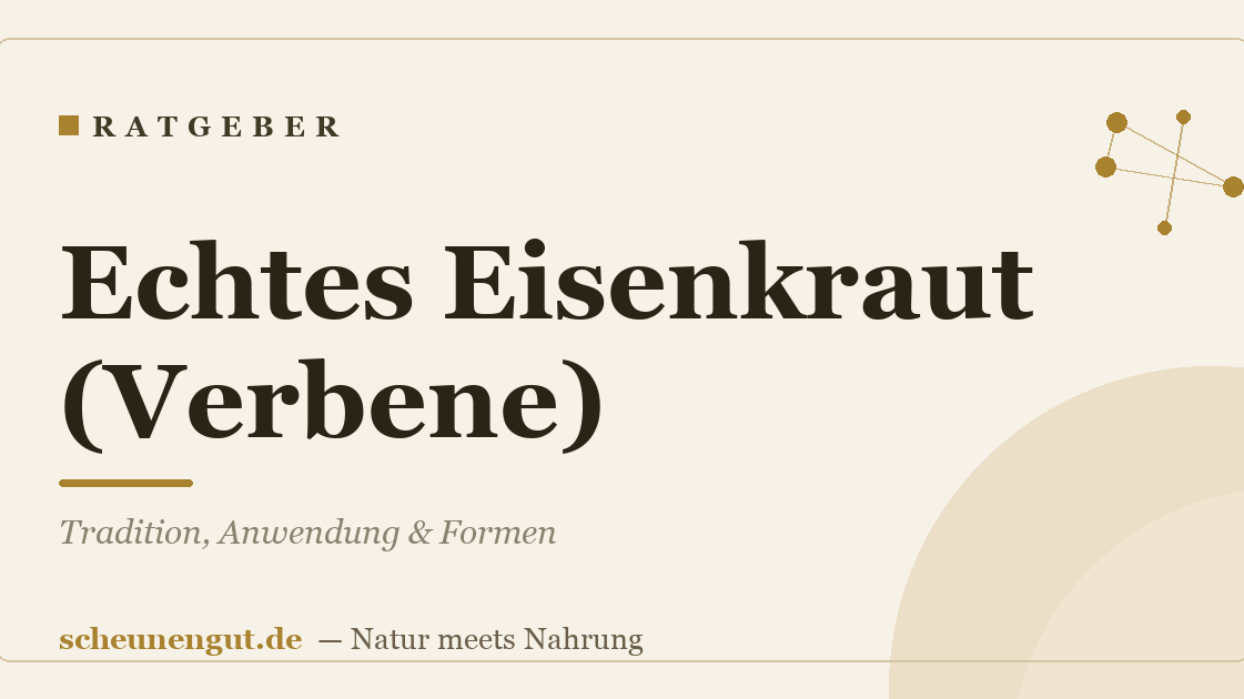 Echtes Eisenkraut (Verbene) – Tradition, Anwendung & Formen