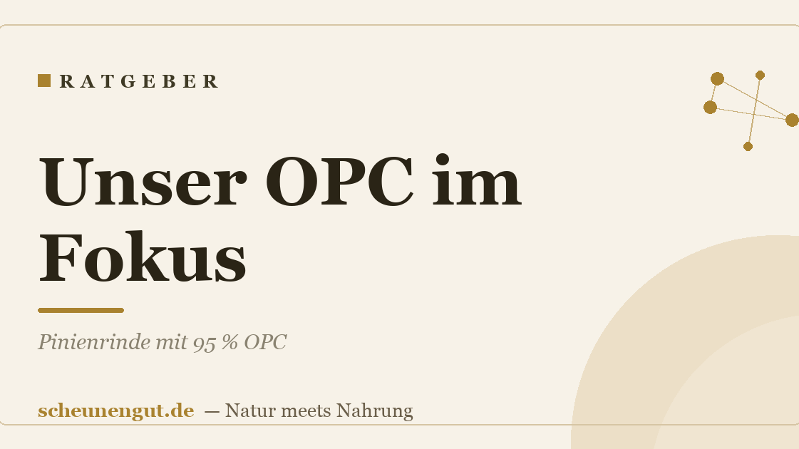Unser OPC im Fokus: Pinienrinde mit 95 % OPC
