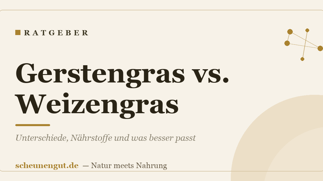 Gerstengras vs. Weizengras: Unterschiede, Nährstoffe und was besser passt
