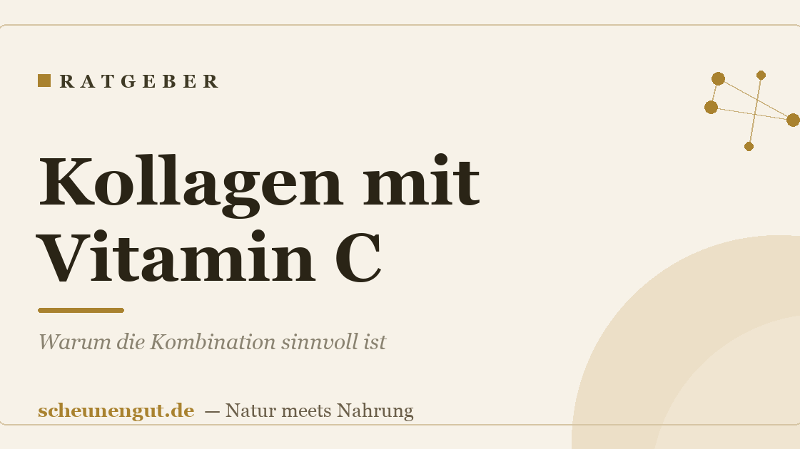 Kollagen mit Vitamin C: Warum die Kombination sinnvoll ist
