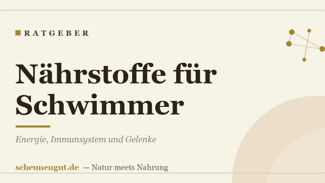 Nährstoffe für Schwimmer: Energie, Immunsystem und Gelenke