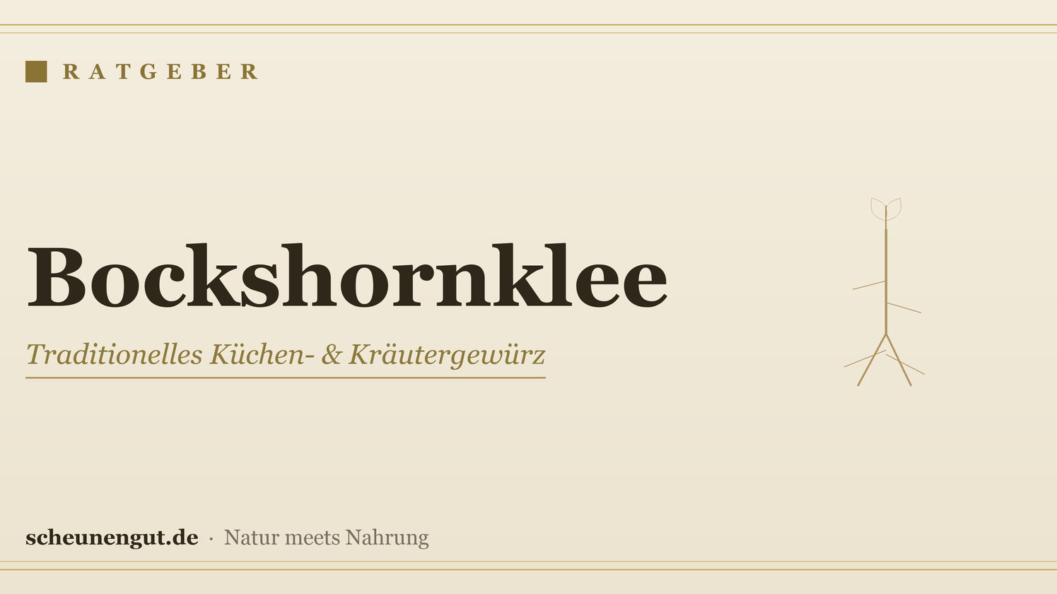 Bockshornklee: Wirkung & Anwendung – Ratgeber von Scheunengut