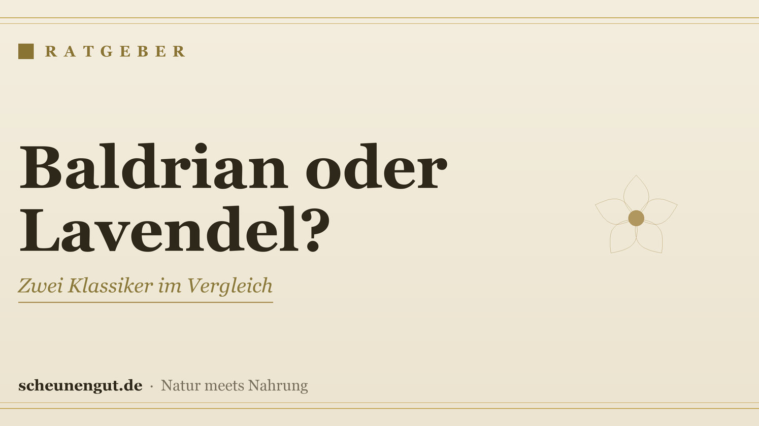 Baldrian oder Lavendel? Zwei Klassiker im Vergleich – Ratgeber von Scheunengut