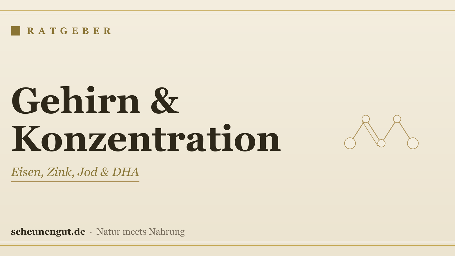 Nährstoffe für Gehirn & Konzentration – Ratgeber von Scheunengut