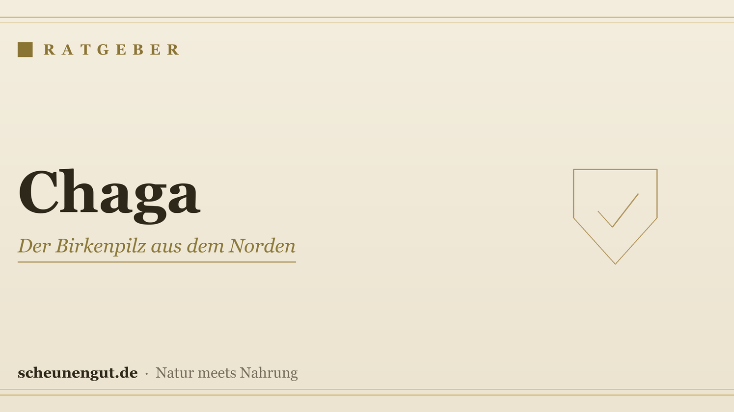 Chaga: der Antioxidans-Pilz – Ratgeber von Scheunengut