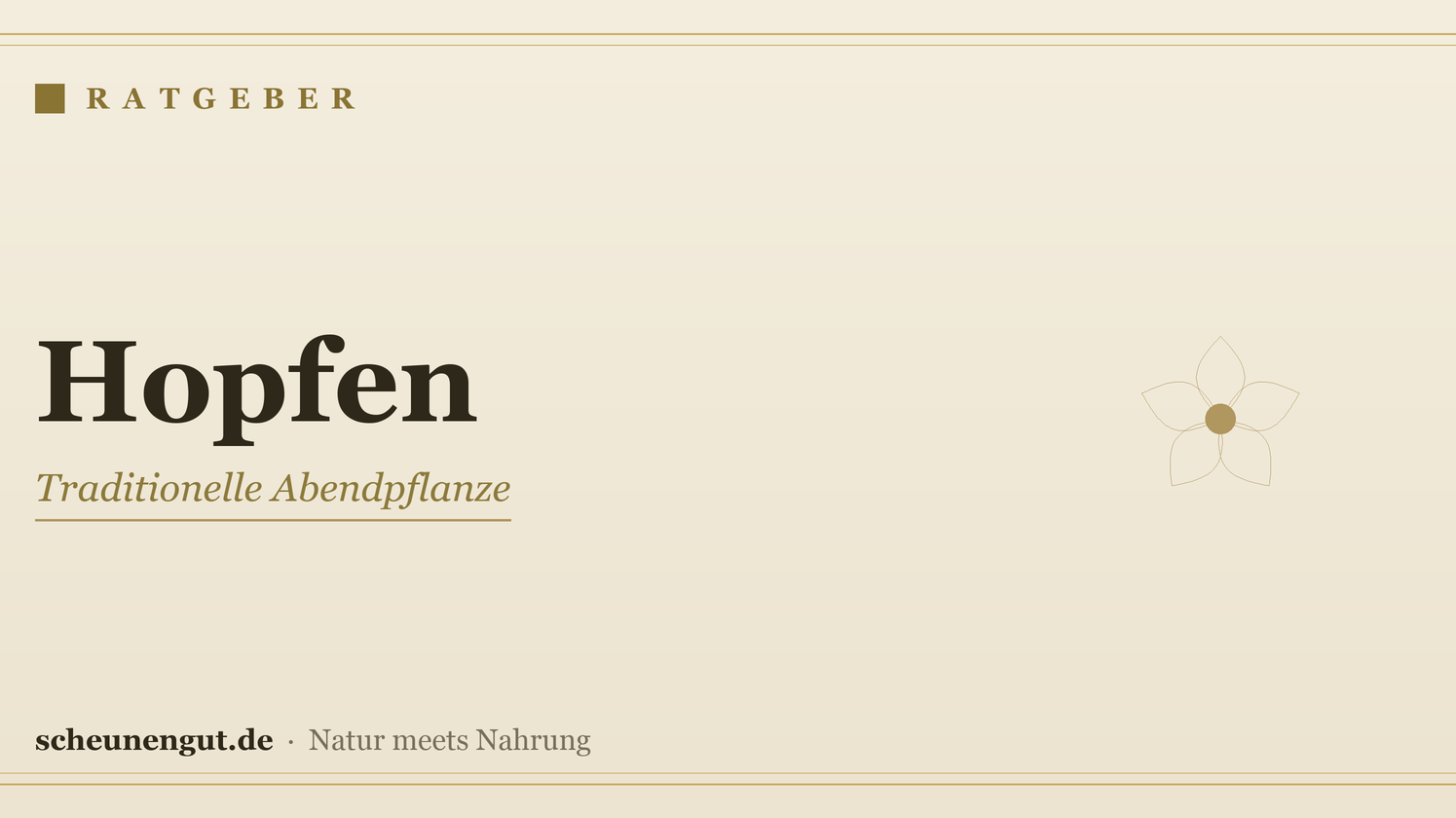 Hopfen: Beruhigung & Schlaf – Ratgeber von Scheunengut