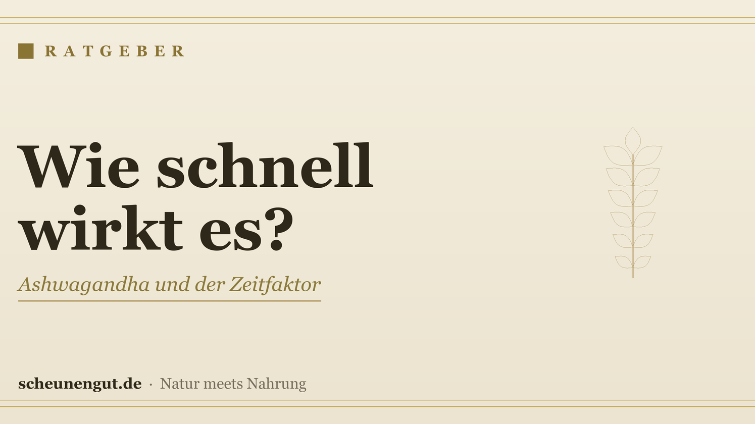 Wie schnell wirkt Ashwagandha? – Ratgeber von Scheunengut